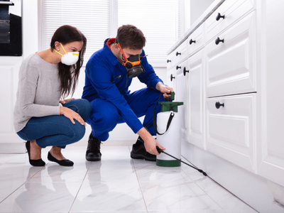 About Bed Bug Inspection Eau Claire - bed bug inspection experts in Eau Claire