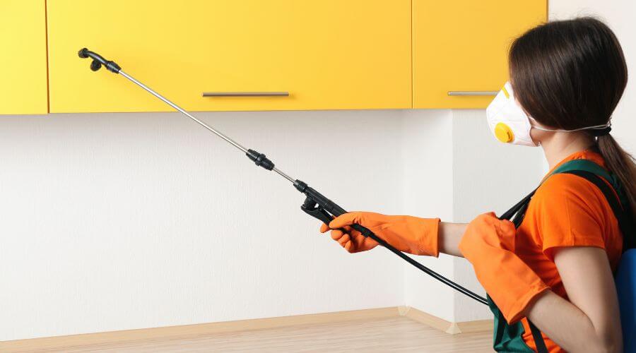 Why choose Bed Bug Inspection Eau Claire for bed bug inspection in Eau Claire